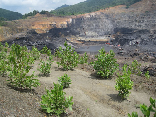 Công ty Than Núi Hồng triển khai việc hoàn thổ môi trường sau khai thác
